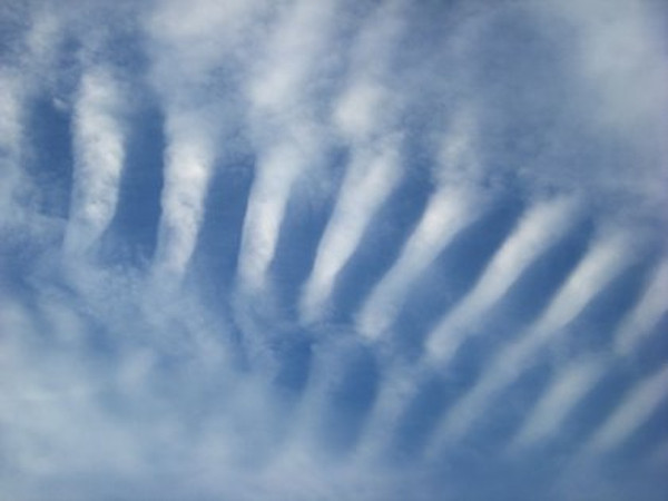 肋骨状形地震雲の画像
