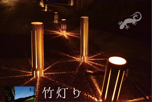 竹が光っている写真