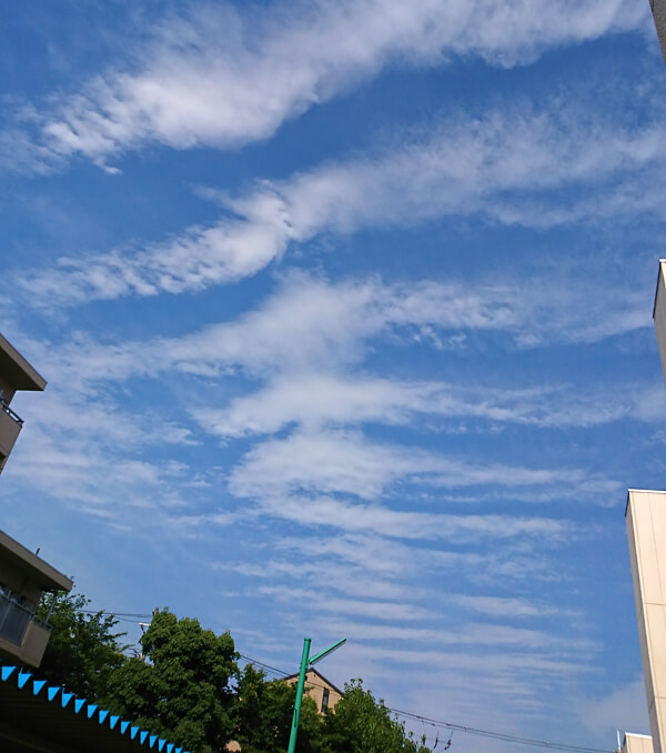 地震雲の投稿写真(大阪編2)