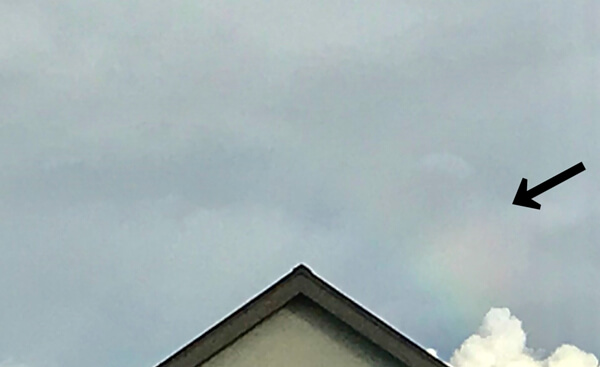 虹の投稿写真