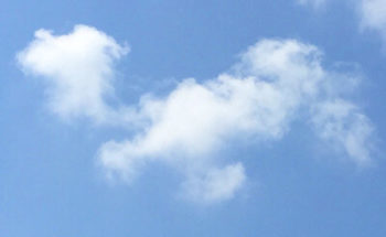 愛犬に似ている雲の写真