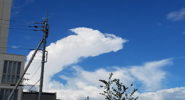 龍のような雲の写真