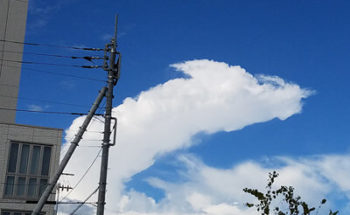 龍のような雲の写真