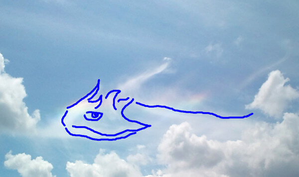 龍のような雲の写真(あん子さん)