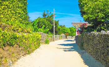 石垣島の写真