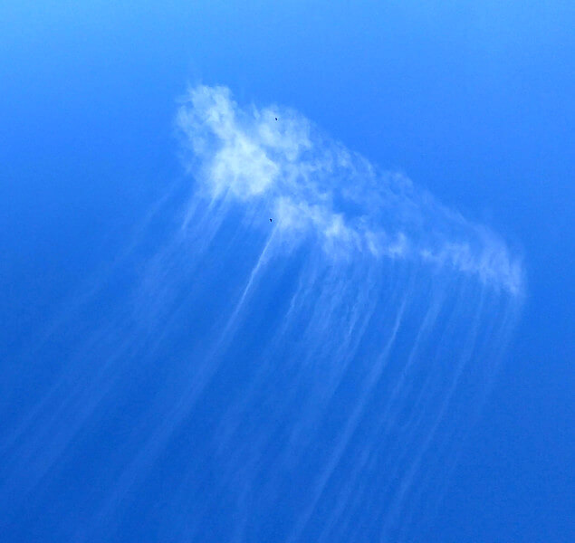 クラゲのような雲の写真