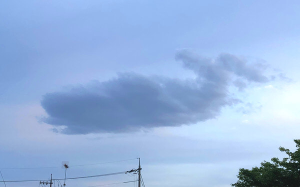 イルカっぽい雲の写真