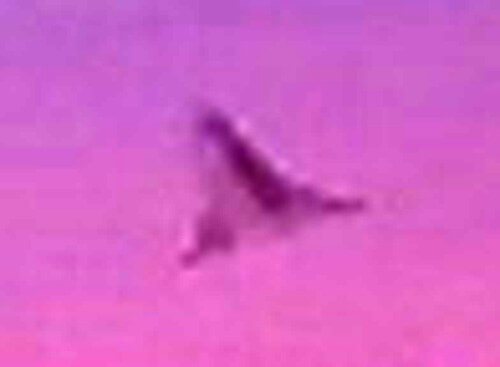 謎の飛行物体の写真
