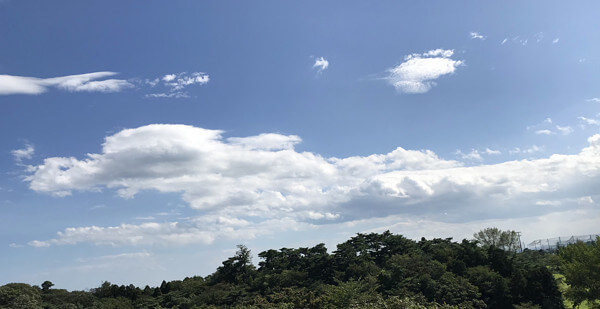 面白い形の雲の写真「龍(その3)」