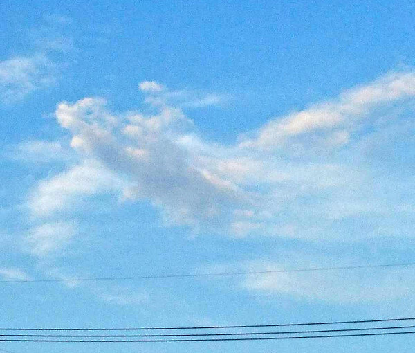 面白い形の雲の写真「亀と少女」