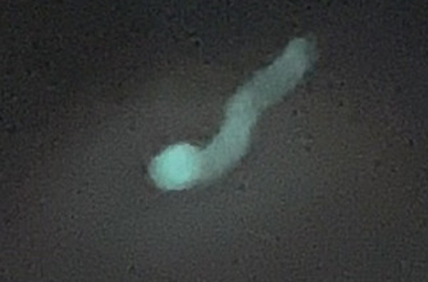 夜空に浮かぶ「謎の物体」の写真