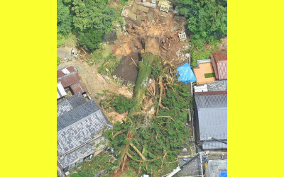 神明神社のご神木の杉が倒れた時のニュース写真