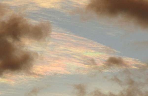 彩雲の写真