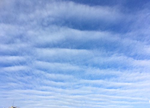雲の写真