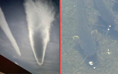 地震雲とナマズの写真