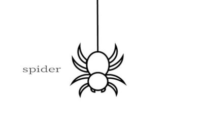 蜘蛛のイメージイラスト