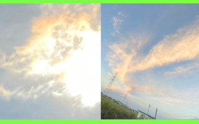 龍＆鳳凰のような雲の写真