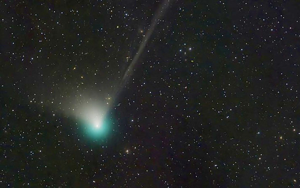 ZTF彗星の画像
