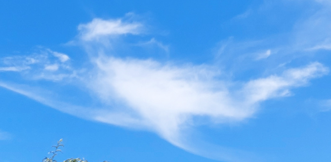 鳳凰雲の投稿写真