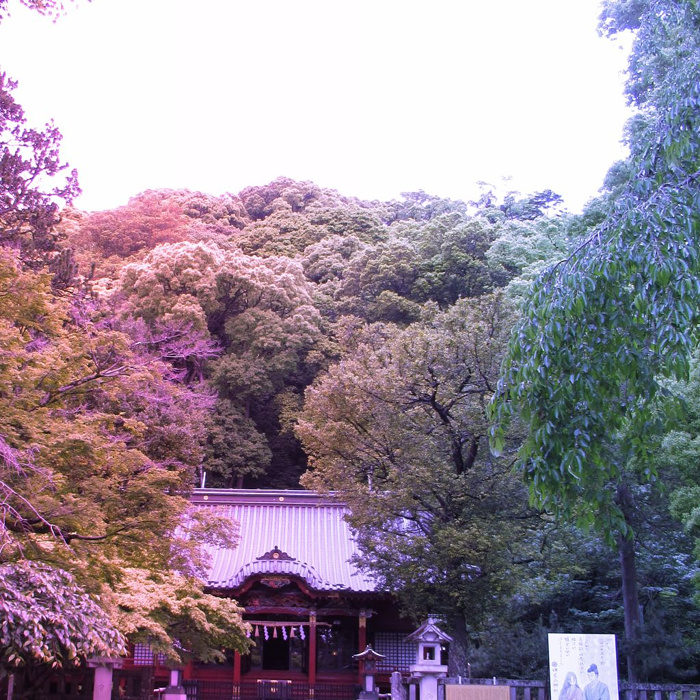 伊豆山神社の写真