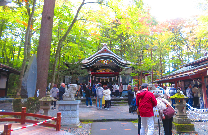 新屋山神社の写真