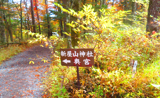 新屋山神社の写真