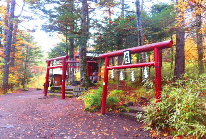 新屋山神社の写真