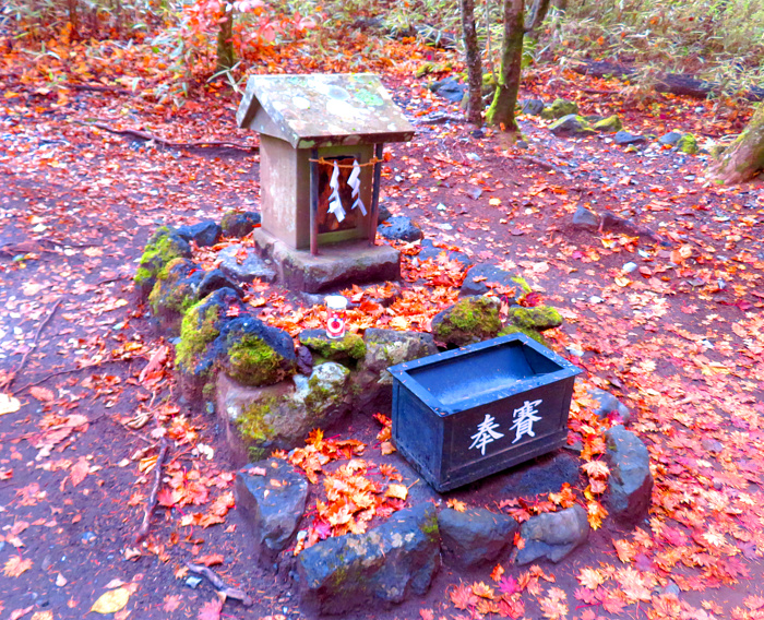 新屋山神社の写真