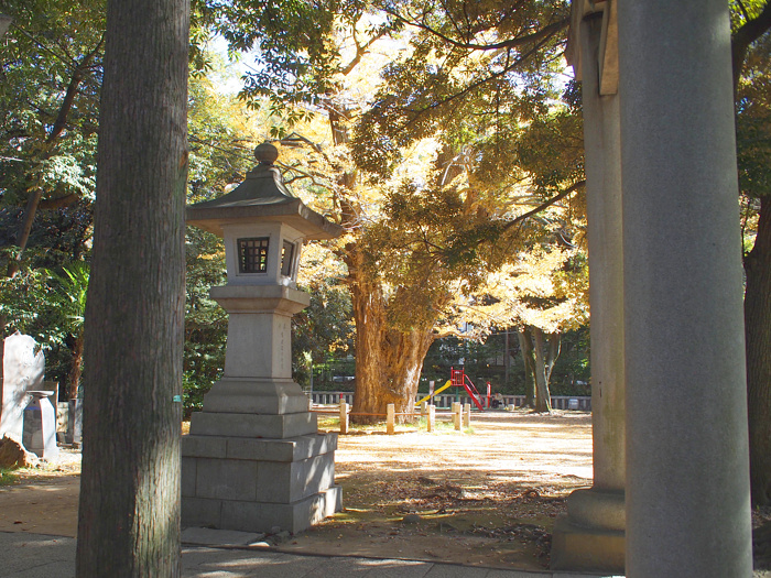 赤坂氷川神社