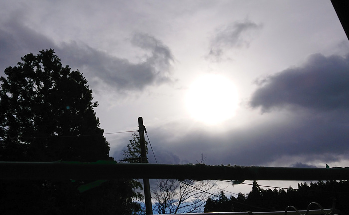 鳳凰っぽい雲の写真