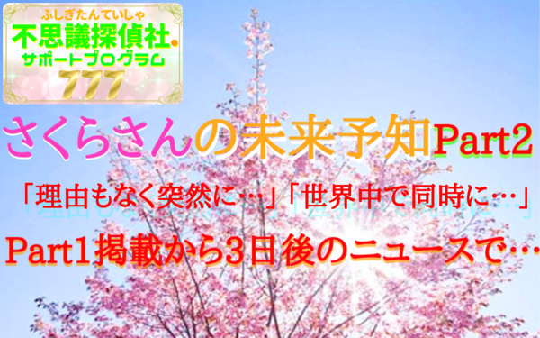 さくらさんの未来予知の画像