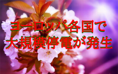 さくらさんの未来予知の画像