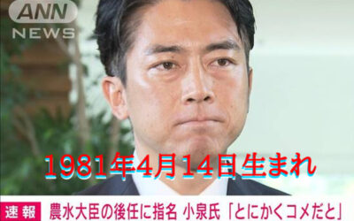 小泉進次郎農水大臣の写真