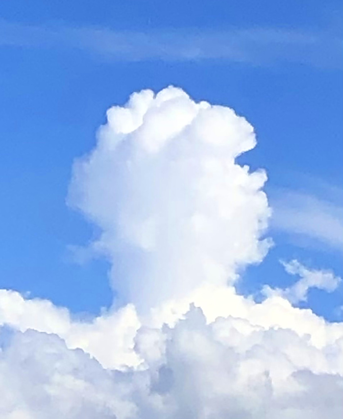 比叡山の写真