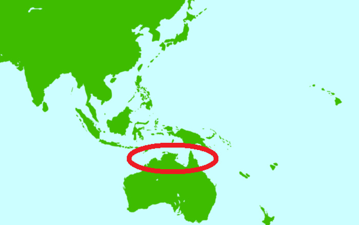 世界地図の画像