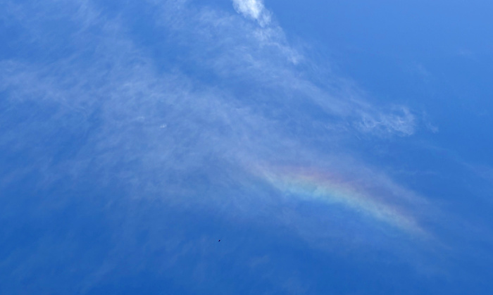 彩雲の投稿画像