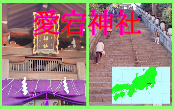 愛宕神社(2026年)の写真