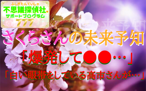 『さくらさんの未来予知』の画像