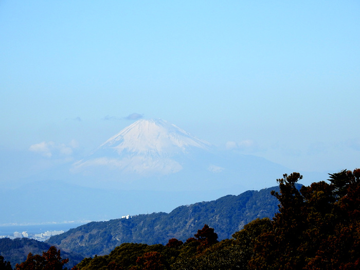 富士山の写真