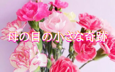 カーネーションの写真