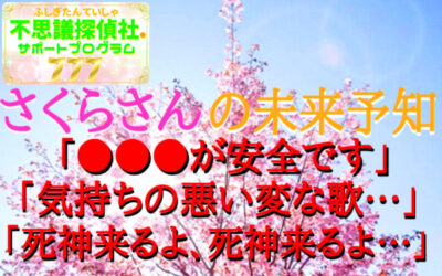 『さくらさんの未来予知』の画像