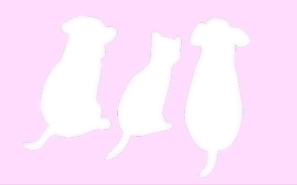 【怪談祭り】の画像