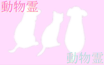 【怪談祭り】の画像