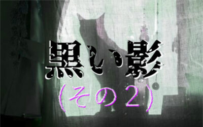 【怪談祭り】の画像